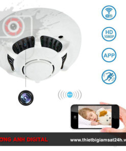 camera ngụy trang đầu báo